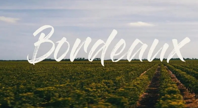 波爾多葡萄園標志 波爾多葡萄園標志