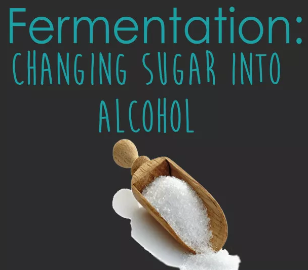 葡萄酒糖分越高，酒精度就越低？