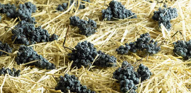 葡萄酒糖分越高，酒精度就越低？